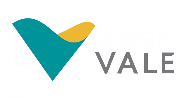 Vale SA