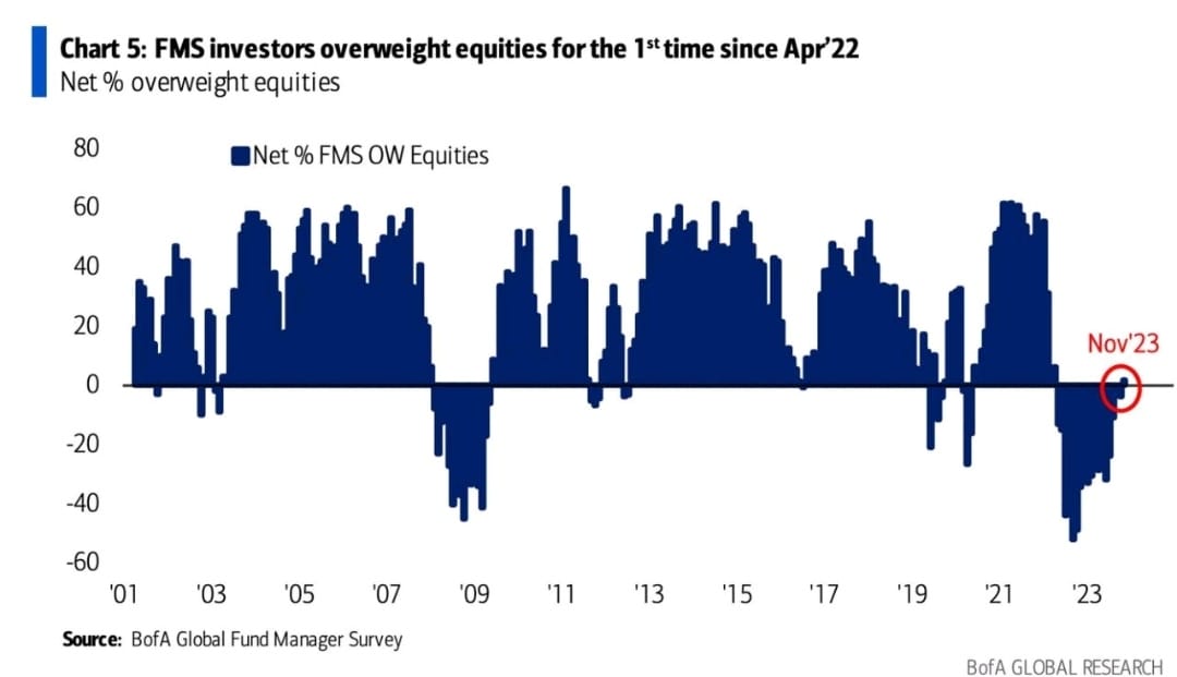 DMS Investors overweight equities