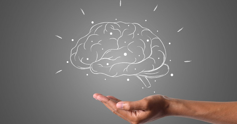 Mano que sostiene un cerebro dibujado