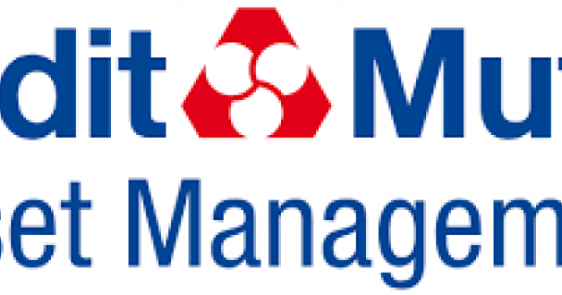 CM-AM Flexible Euro IC