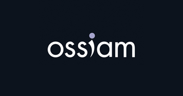 Ossiam Shiller Barclays CAPE® US Sector Value TR UCITS ETF 1C/A (EUR) (MI)